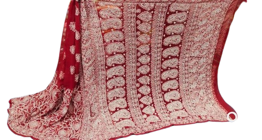 Awadhmart Lucknowi Chikankari Hand Embroidered Georgette skirt jaal Saree